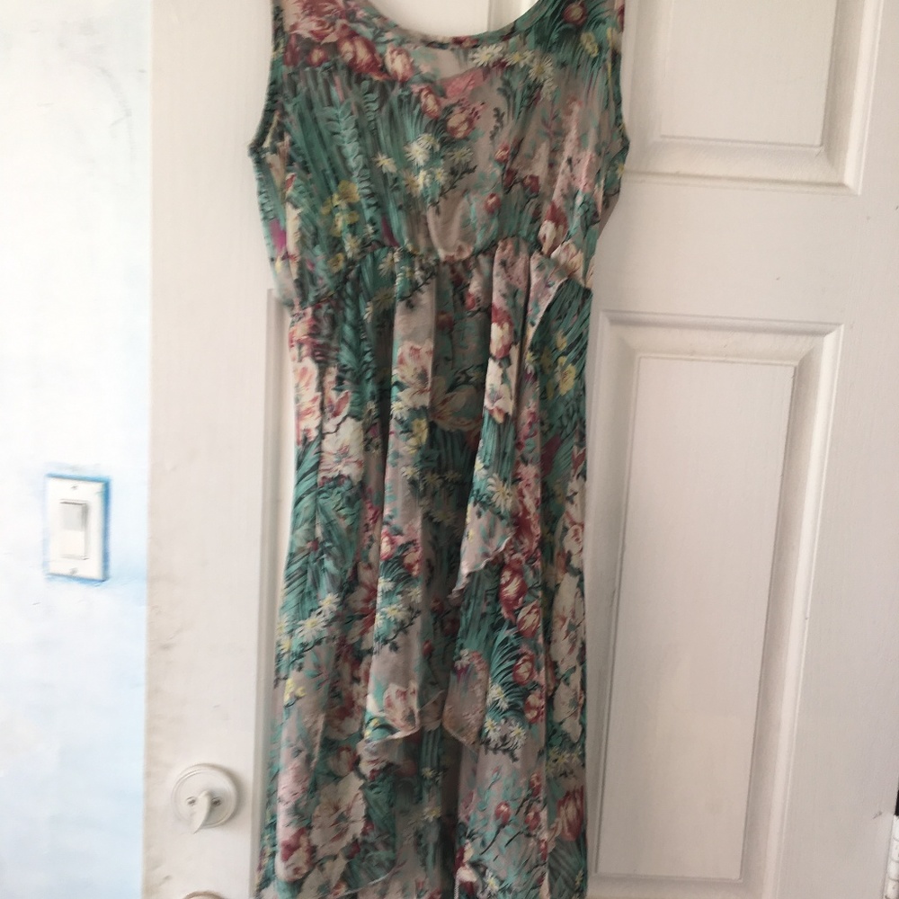 Sheer Floral Cover-up/Overlay Dress